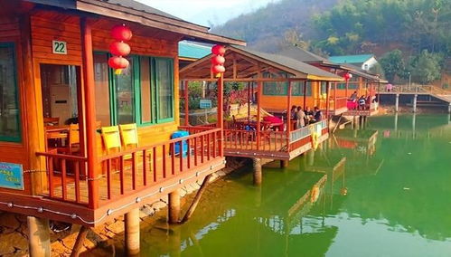 從一座難求,到大面積倒閉 風靡全國的農家樂,為啥沒人去了