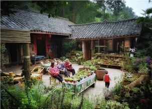 曾經紅火的農家樂變 農家哭 ,為何短短幾年就 無人問津 了