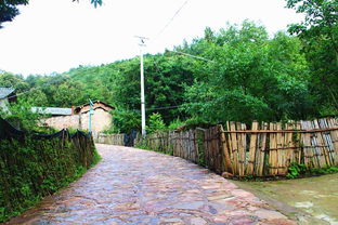 菊畹村的故事說不盡,好山好水好風光,藥材做美食,健康又營養