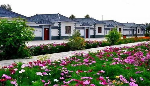 農村的年輕人都外出打工,如何讓他們回來建設自己的家鄉