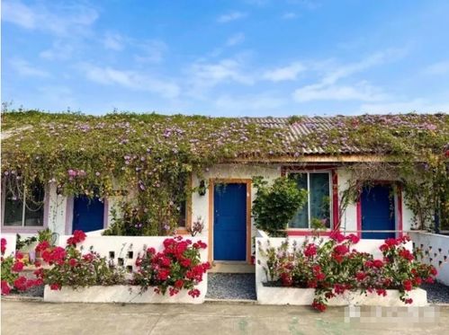 窯雞 燒烤 游戲 享受自然 南寧這些農家樂真的是太棒了