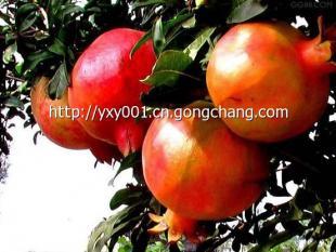 鄭州周邊的農家樂_農副產品_世界工廠網