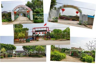 【北海新發現NO58】兩公里5家!這條“農家樂一條街”你肯定不知道