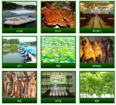 長沙釣魚農家樂哪家好