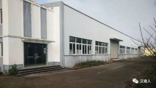 漢南食品廠繁榮到衰敗的歷史變遷