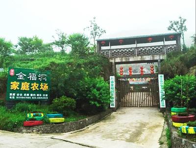 綦江區戶外活動-重慶城鄉網是鄉村振興的引領者,農產品交易批發,農業基地,周邊游,周邊農家樂,精品民宿,采摘園,鄉村旅游信息分享平臺,重慶周邊游-山.喂