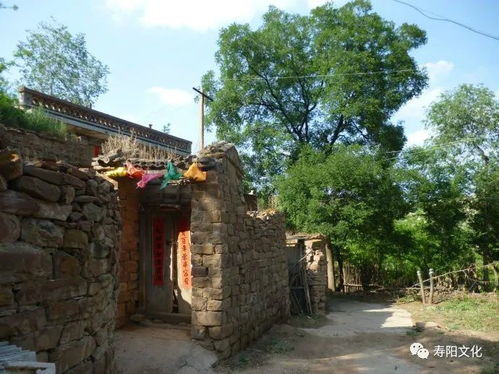 鄉村旅游受青睞,古村體驗成最愛