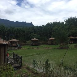 七仙嶺瑤池酒店臟鴨子農家樂餐廳電話,地址,營業時間(圖)-保亭美食-大眾點評網