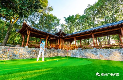 衢州這些新出爐的五星級農家樂,你都體驗過嗎