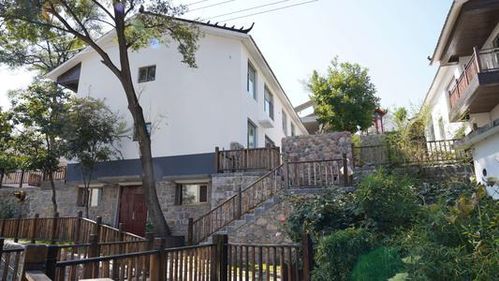 五戶農家樂起家,收入翻21倍 郝峪模式給您鄉村振興的新啟發