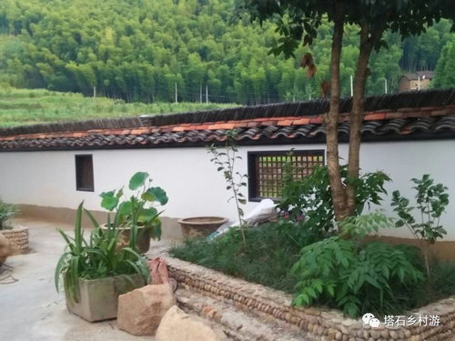 塔石鄉民宿 農家樂集錦,趕緊收藏吧