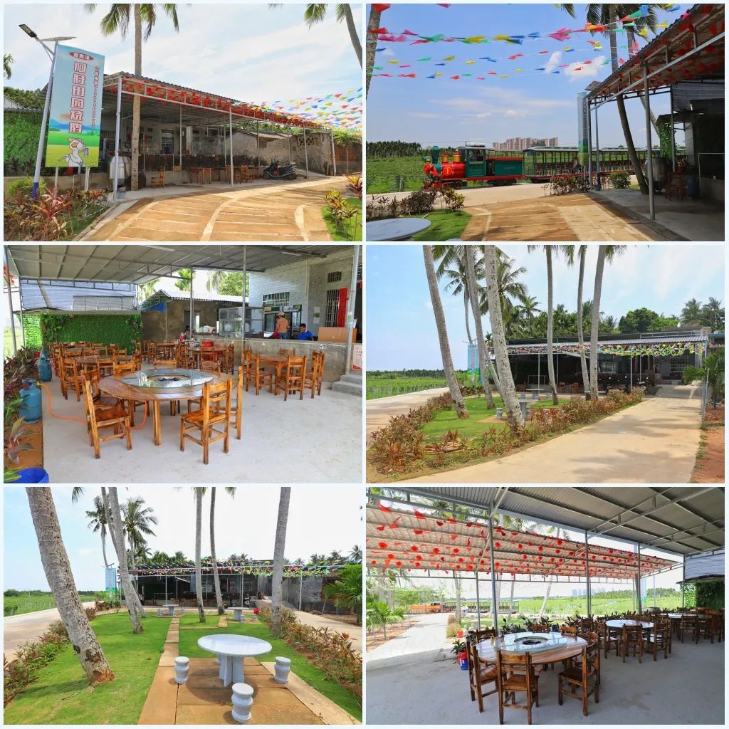 龍壽洋鄉村旅游助扶貧 貧困戶開起燒鵝農家樂“逆襲”