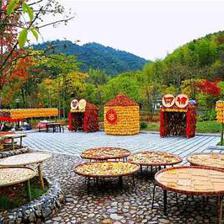 本周六,相約萬市!賞曬秋美景、淘山里土貨、嘗山鄉美食,還有…