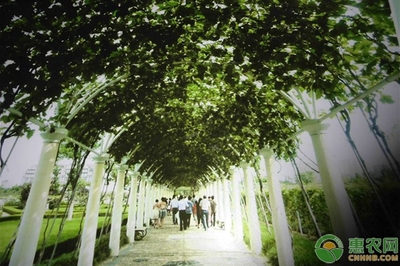 蕭縣電商旅游扶貧實現全覆蓋,多點開花!