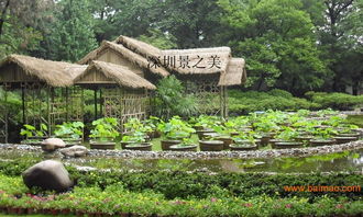 鋁制仿真茅草,鋁制仿真茅草生產廠家,鋁制仿真茅草價格