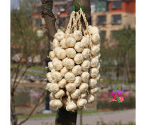 仿真串大蒜產品信息