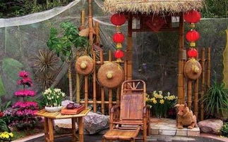 新政 農村荒地 閑置宅基地做農家樂,再給扶持