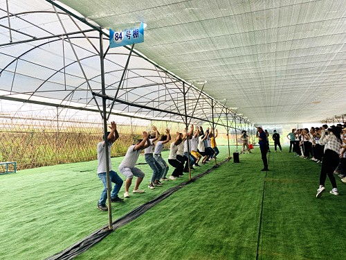 圖 公司旅游活動 農家樂野炊 親子diy一日游去深圳九龍生態園 深圳旅游