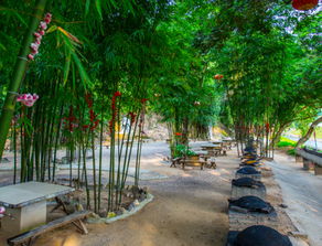 金龜農家樂燒烤