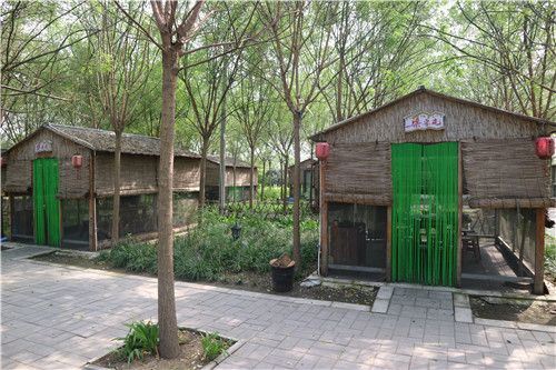 河北保定金牌農家樂提檔升級 構建鄉村旅游健康發展模式