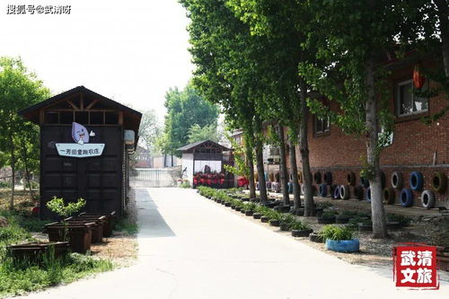 解鎖武清世外桃源,重溫自然,回歸童趣