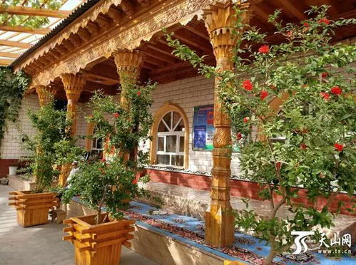 庫車小村的28個農家樂里藏著村民增收夢