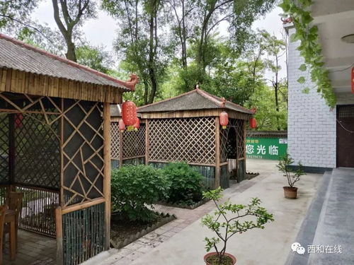 2019新機遇,西和晚霞湖新裝修升級農家樂低價整體出租...