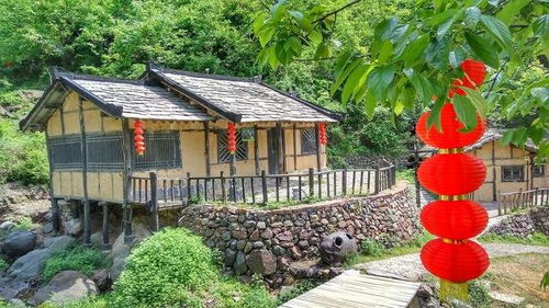 倒閉84199家,曾經的風靡全國,農家樂現在到底怎么了