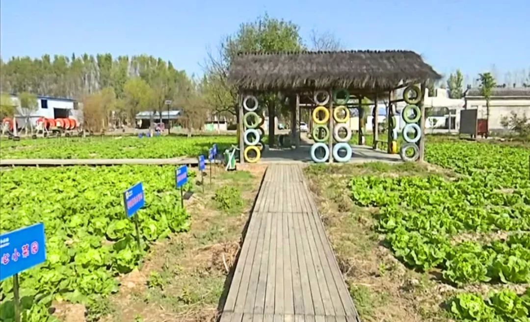 昔日“沙窩窩”今日“香餑餑”--探訪“山東省最美鄉村”安頭鄉冢子張村!