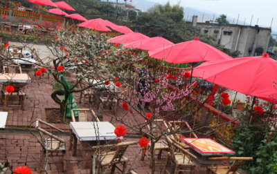 開一家農家樂需要多少?