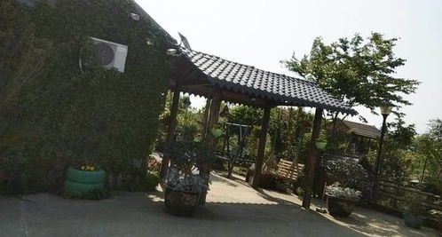 匯建農家樂 踏青賞春光,不負人間四月天
