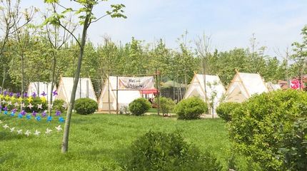 六項精彩活動!2023濰坊首屆玫瑰花海藝術節來啦!