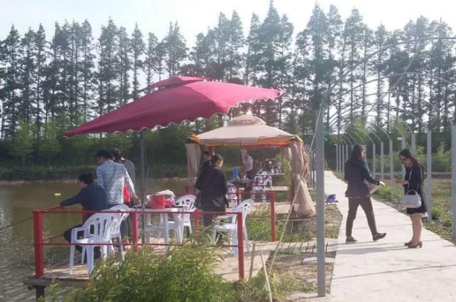 假期鄉村游, 為什么現在沒人去"農家樂"了? 游客: 聰明人才不去