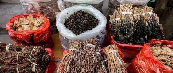 南陽農家樂 近郊游 周末度假 親子采摘+釣魚抖音短視頻推廣