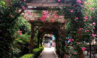 成都近郊的6家五星級農家樂,個個顏值都很美,周末休閑聚餐有地去了