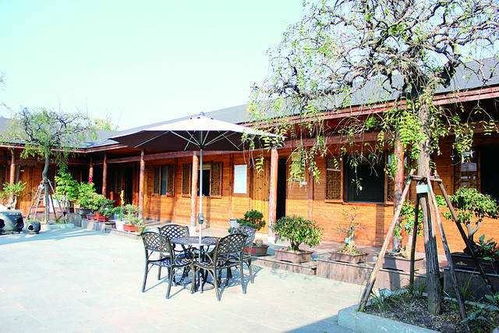 曾經火爆的農家樂為什么如此蕭條了呢