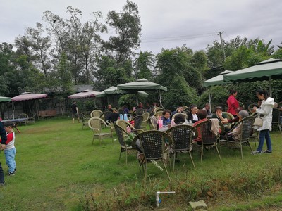 三圣鄉朋友圈農家樂推介