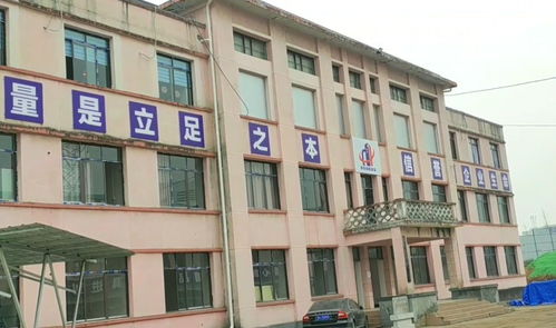 四川一家特殊三線廠,不生產軍品,也不生產民品,產品卻人人愛