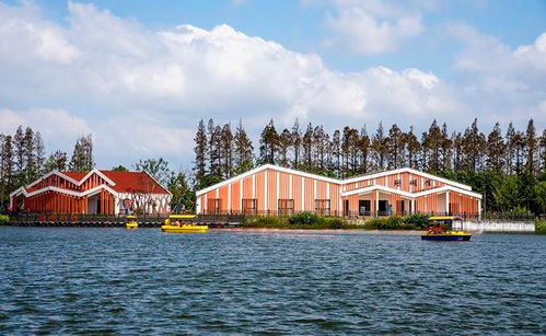 十一 長假崇明旅游市場人氣旺盛,接待游客51.51萬人次