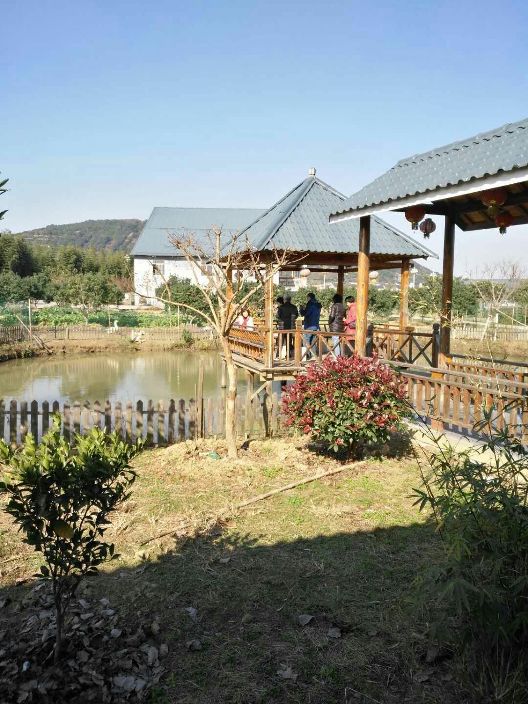 蘇州西山庭湖緣農家樂 - 美篇