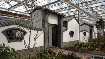 海洋館來了新朋友 暢游五月好時光