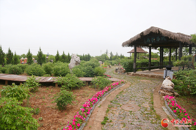 香約慶陽丨寧縣瓦斜鄉永吉村:農文旅融合奏響鄉村振興“奮進曲”