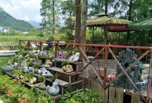 喜訊 崇左又添13個四星級鄉村旅游區 農家樂 啦