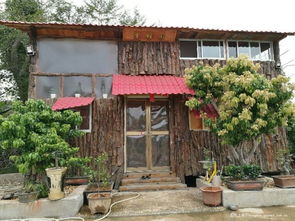 紅豆玉林論壇農家樂烤全羊活動,現場直播pp