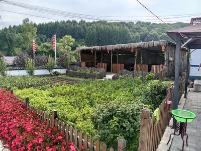 特色農家樂 讓小村莊變了模樣