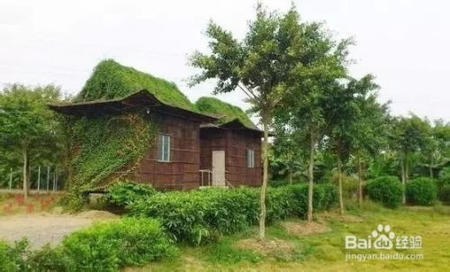 享受農家樂 廣東省內特色農家莊園旅游指南