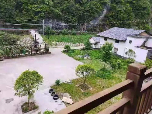 鎮坪 最美廚娘 巾幗示范農家樂 民宿 風采展 三