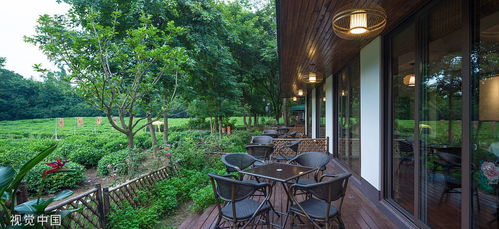 洪旭生態發展鄉村農家樂,壯大鄉村經濟