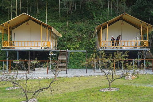 四季中國丨港背村森林小鎮的暑期開業季