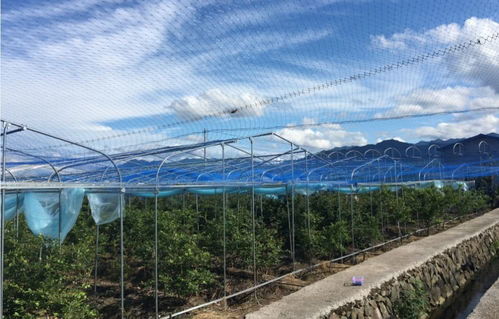 鄉村旅游精品線路